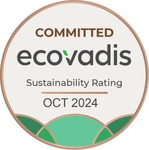 files_ecovadis_299x299